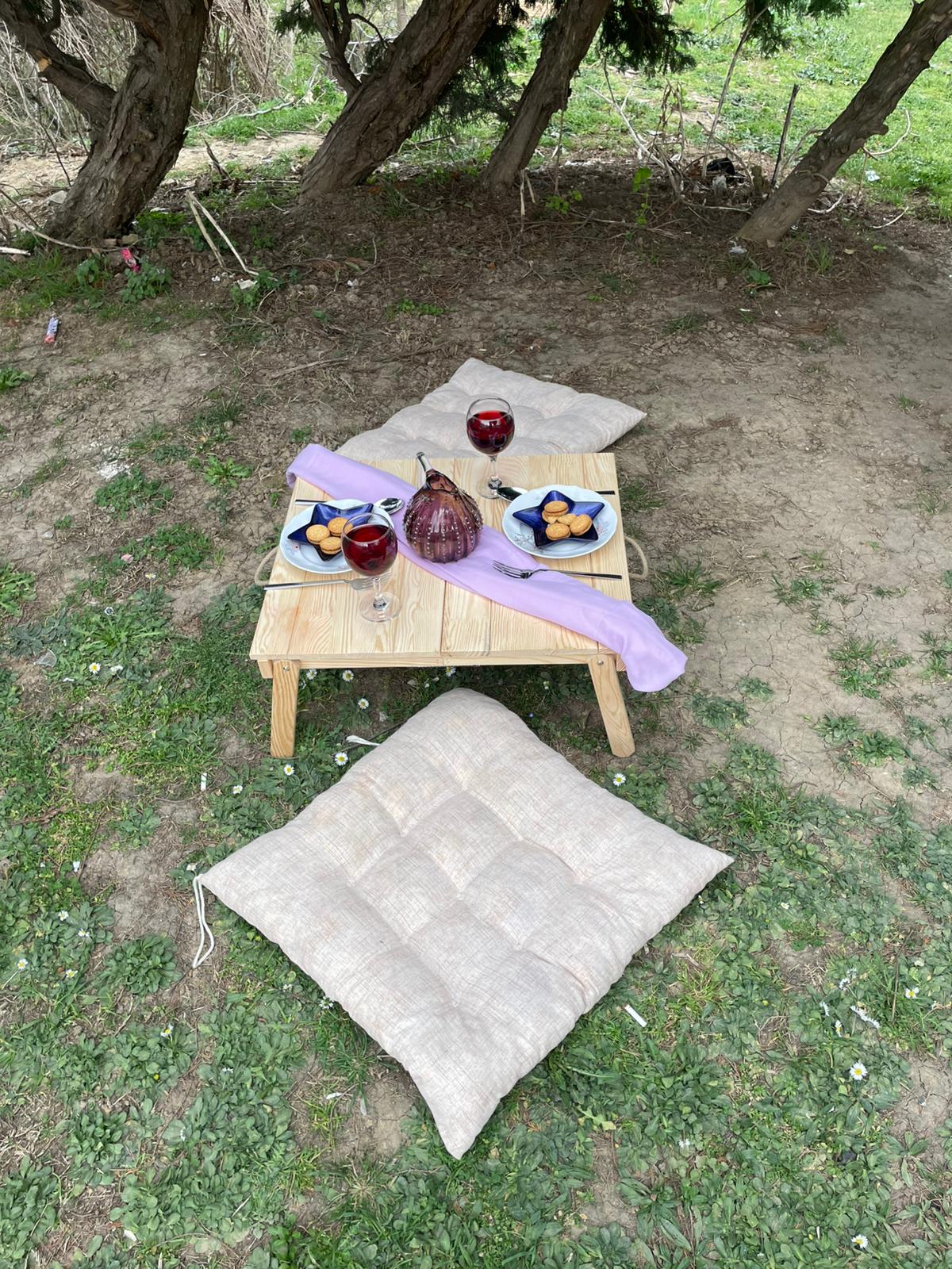 Solid Wood Foldable Picnic Table, Minimalist Floor Table, Portable Outdoor Seating (22x20inch)